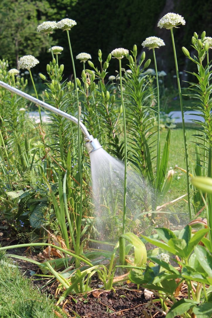 Lance télescopique - 3