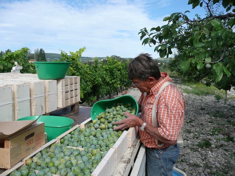 Panier ventral polypropylène - 4