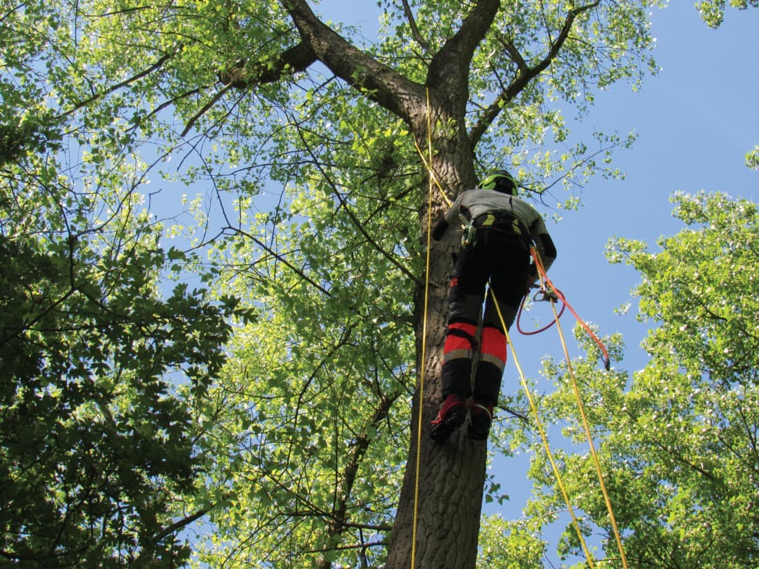 Corde d'accès Rush - 2