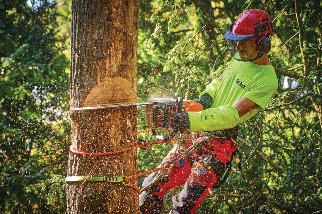 Baudrier Koala - 7
