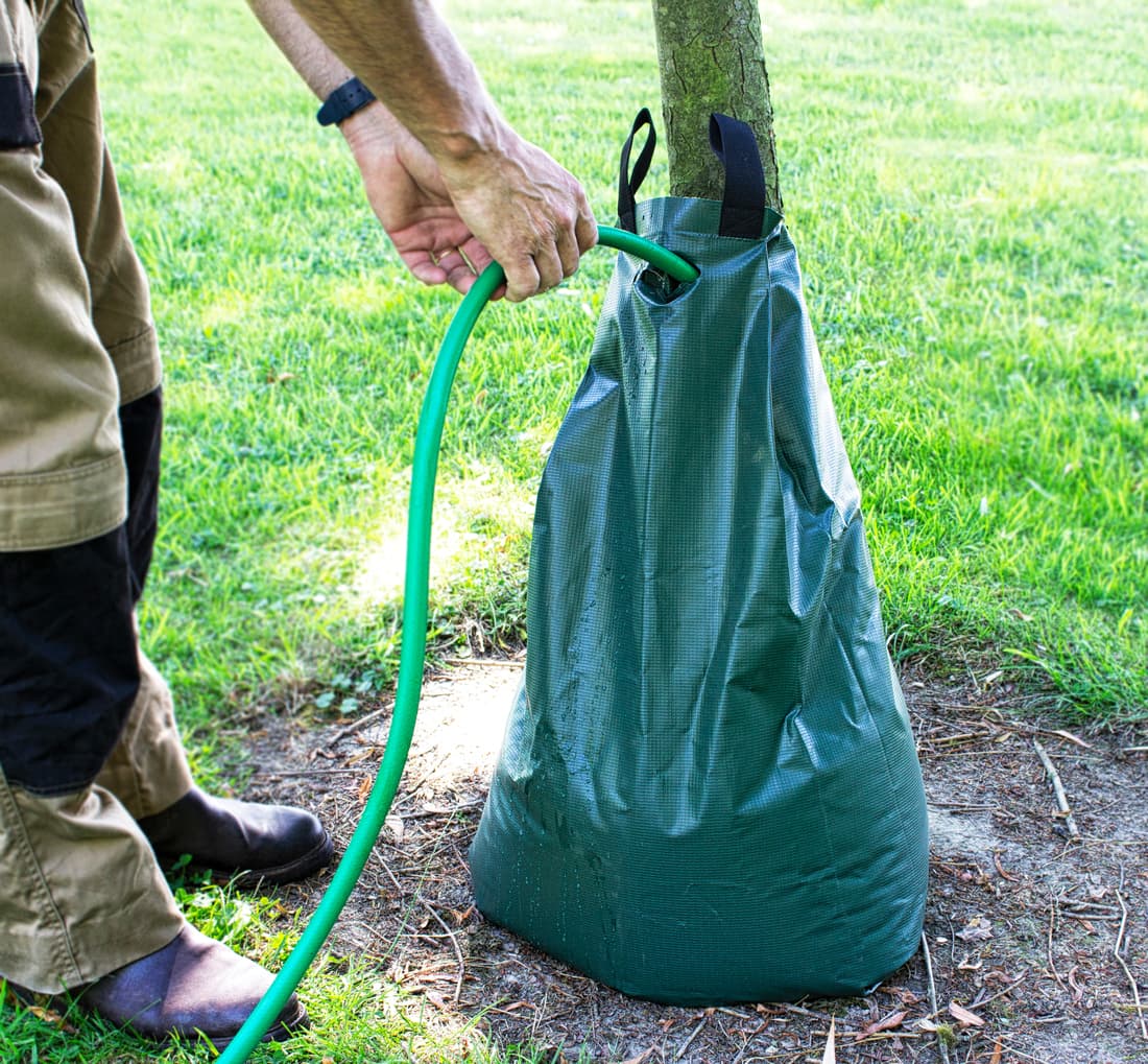 Distributeur d'eau - 1