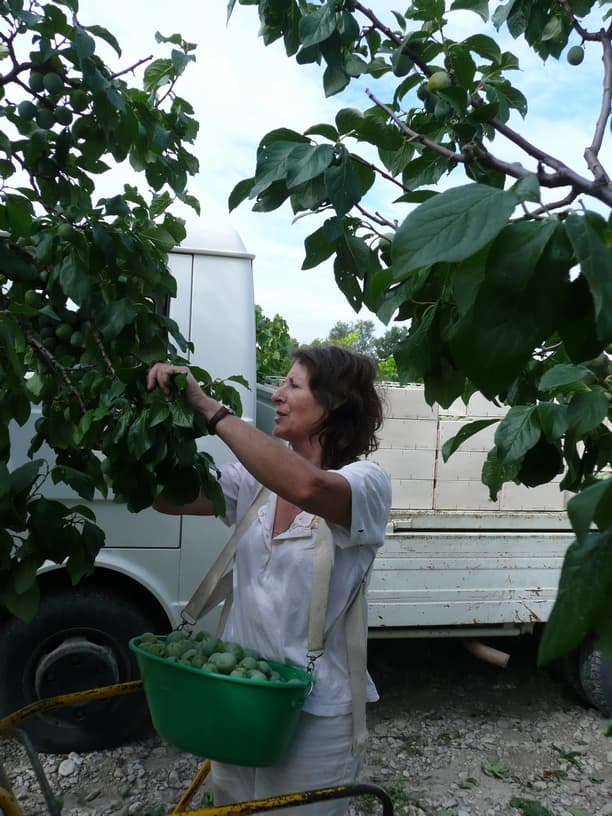 Panier ventral polypropylène - 6