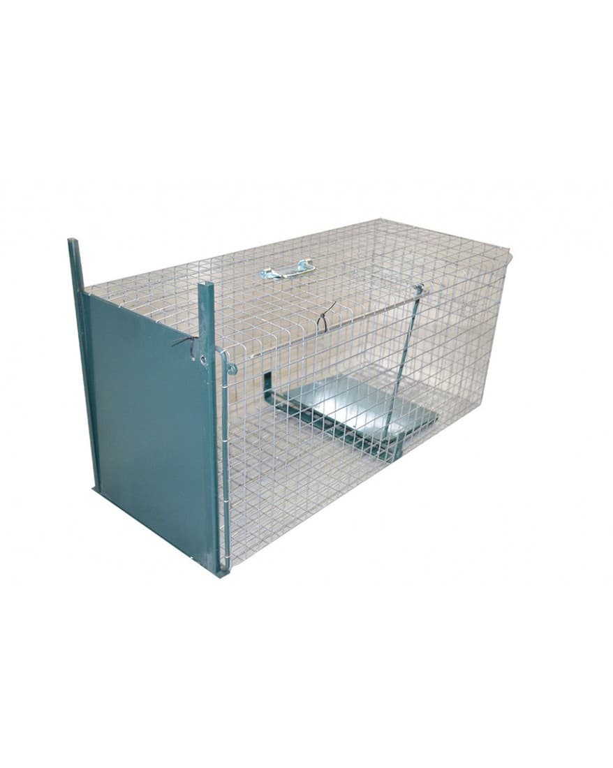 Cage de capture - 1
