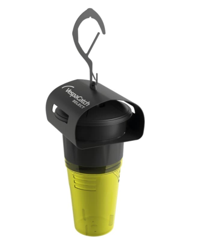 Piège à frelons sélectif - 1