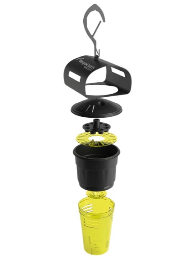 Piège à frelons sélectif - 2