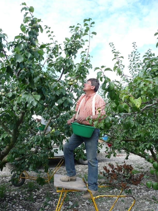 Panier ventral polypropylène - 2