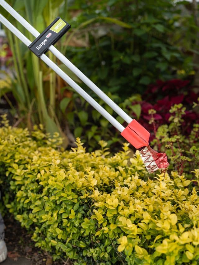 Plateforme individuelle roulante T-REX, 6 à 9 marches - 6