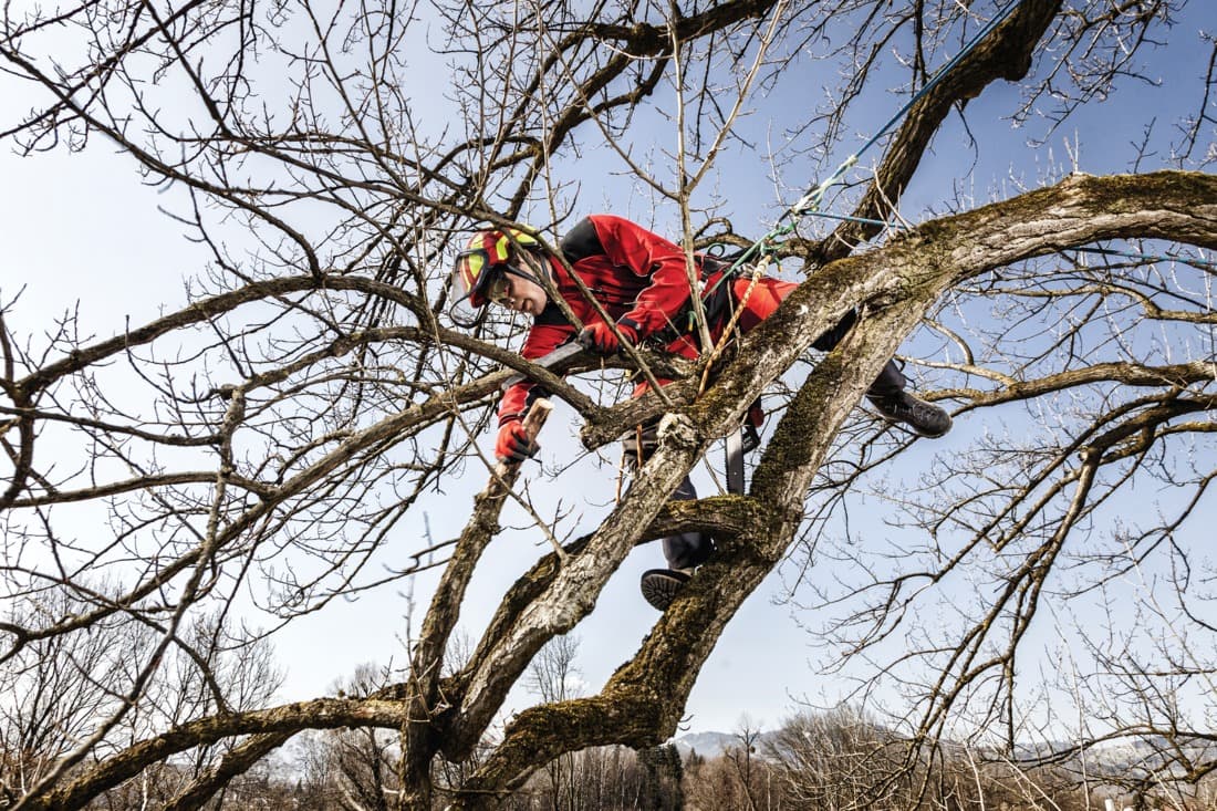 Veste Arborist, Pfanner, rouge, taille M - 1