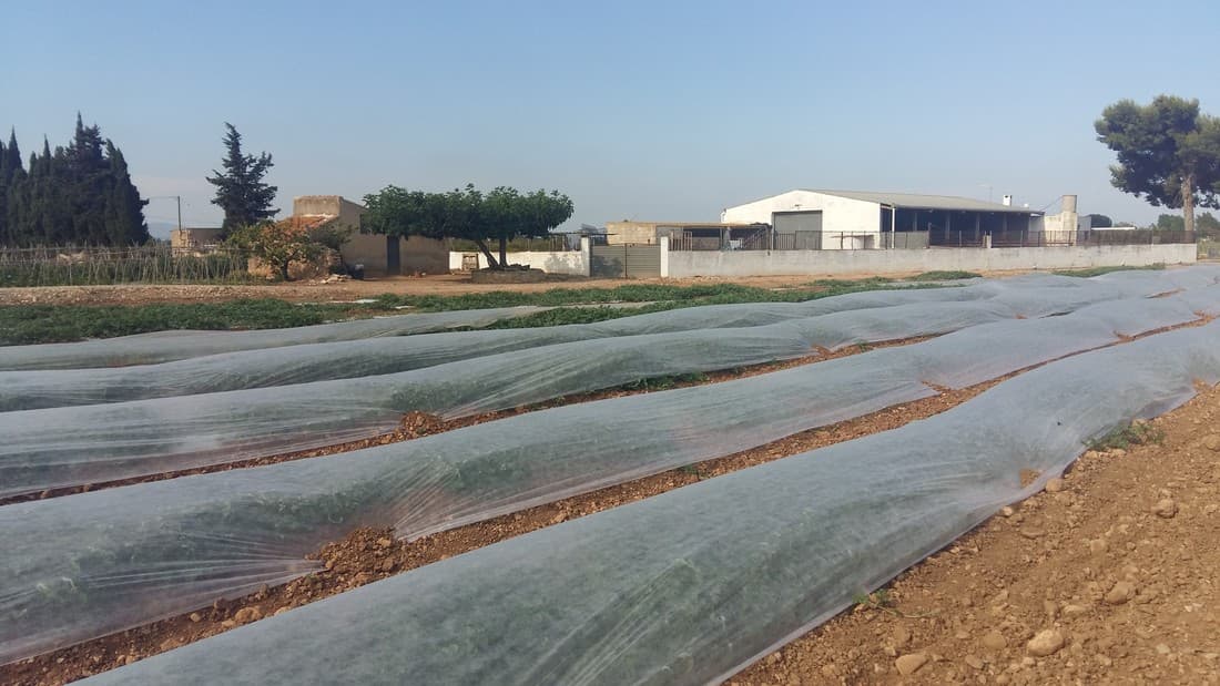 Voile hiver non tissé 30 g / m², 2 x 250 m - 2
