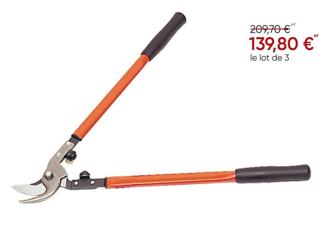 2 + 1 gratuit / Ébrancheur P16-60-F - 1