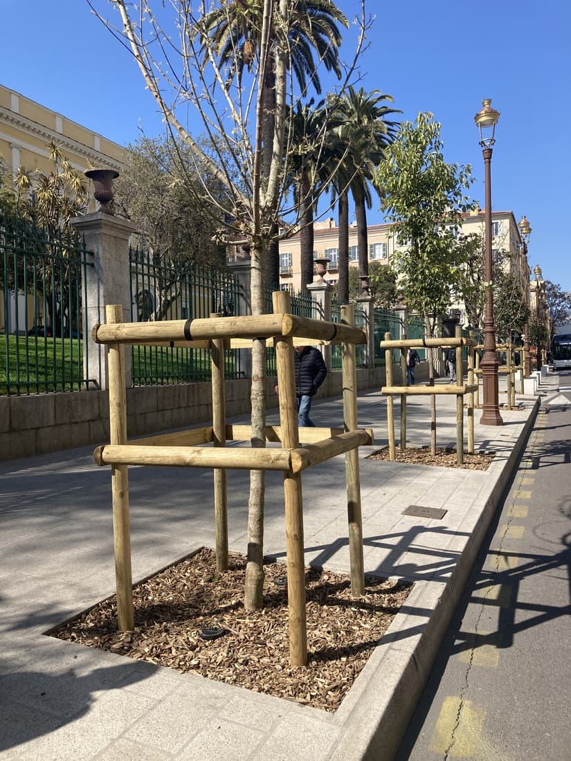 Drain d'irrigation - 5