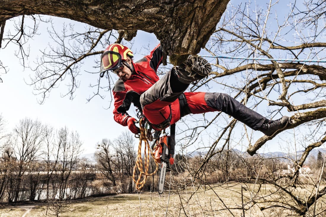 Veste Arborist, Pfanner, rouge, taille M - 2