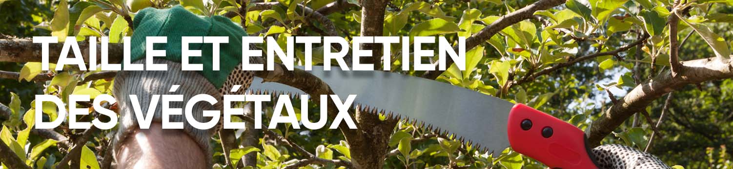 Plan de travail 2.jpg